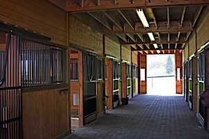 6 Barn Interior